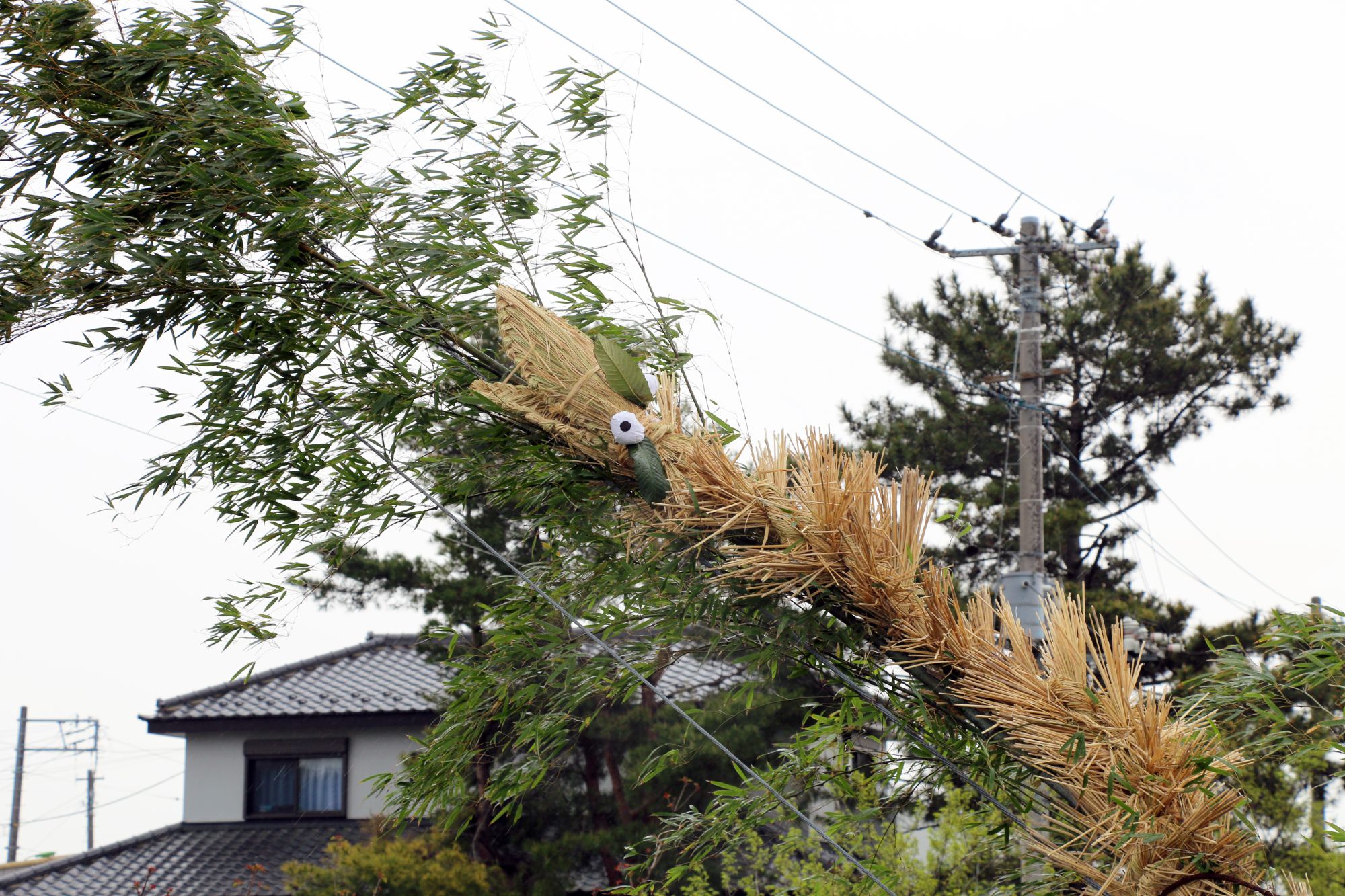 スライド画像8枚目