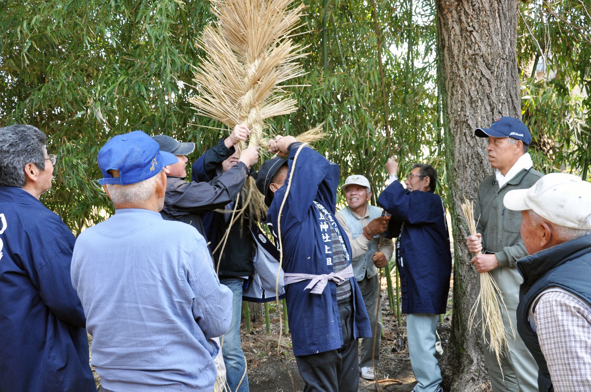 スライド画像5枚目
