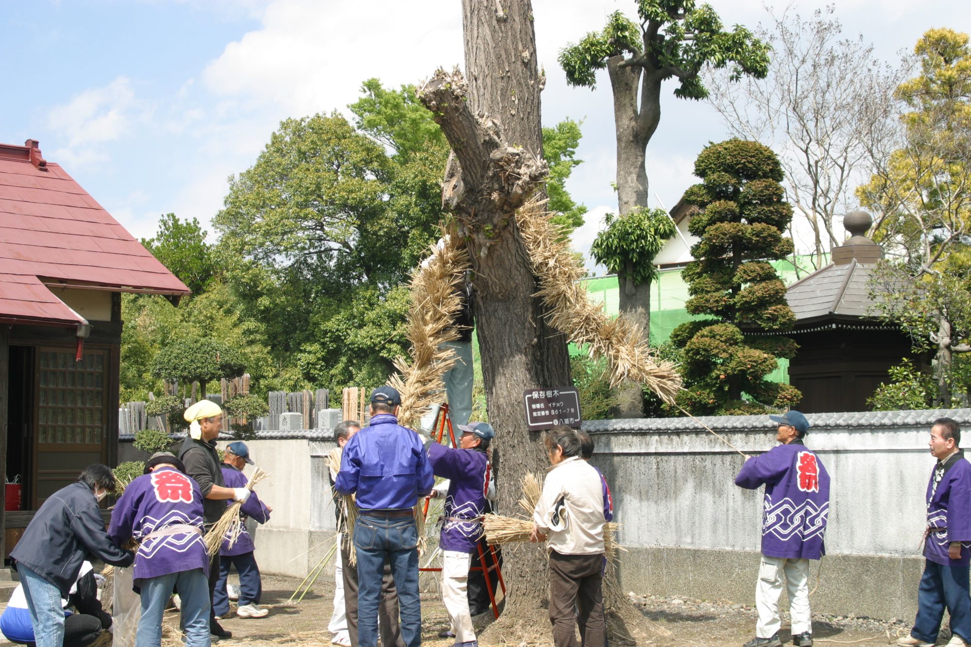 スライド画像5枚目