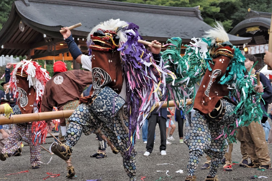 高麗神社の獅子舞のサムネイル画像