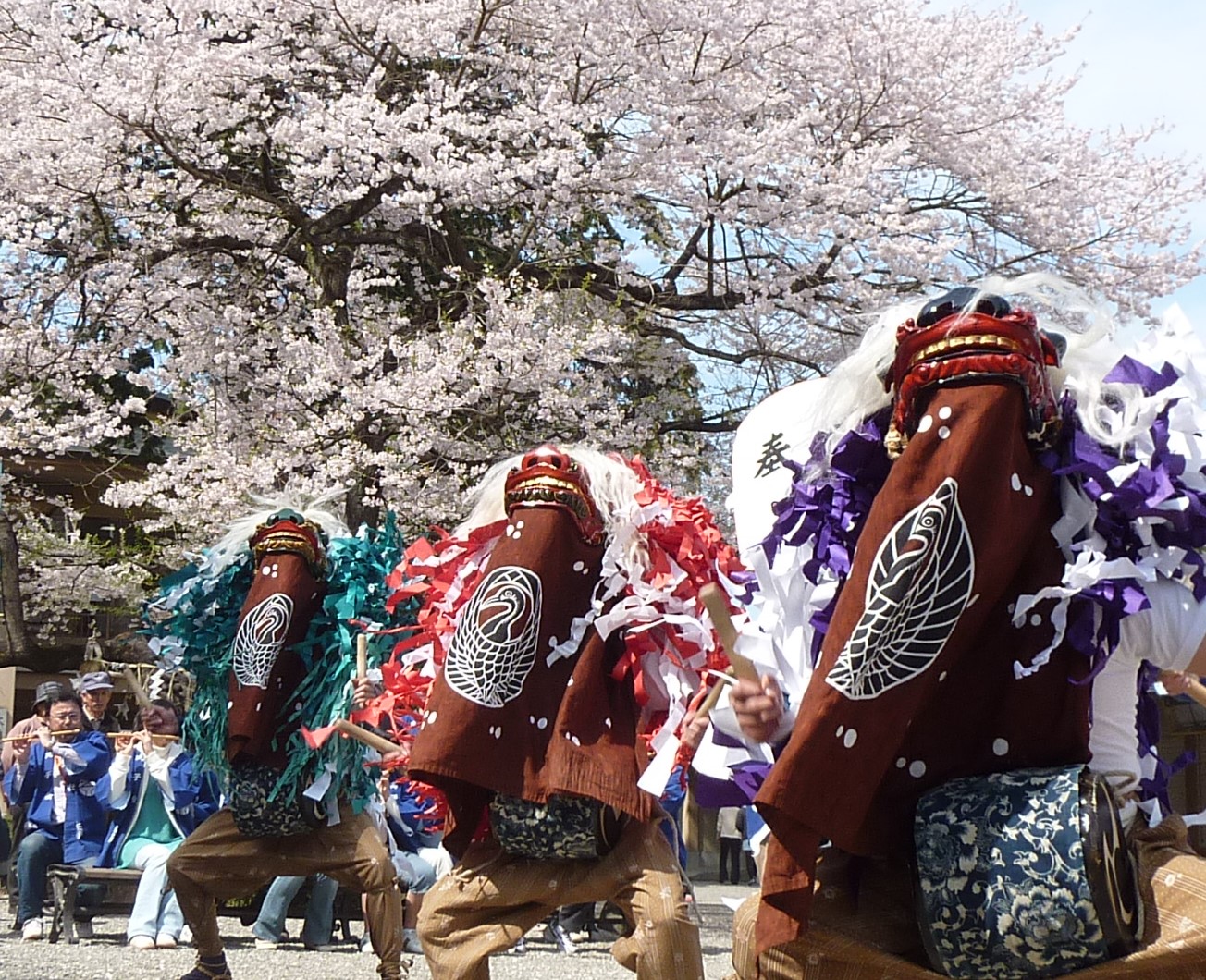 桜祭　（高麗神社 獅子舞）のサムネイル画像